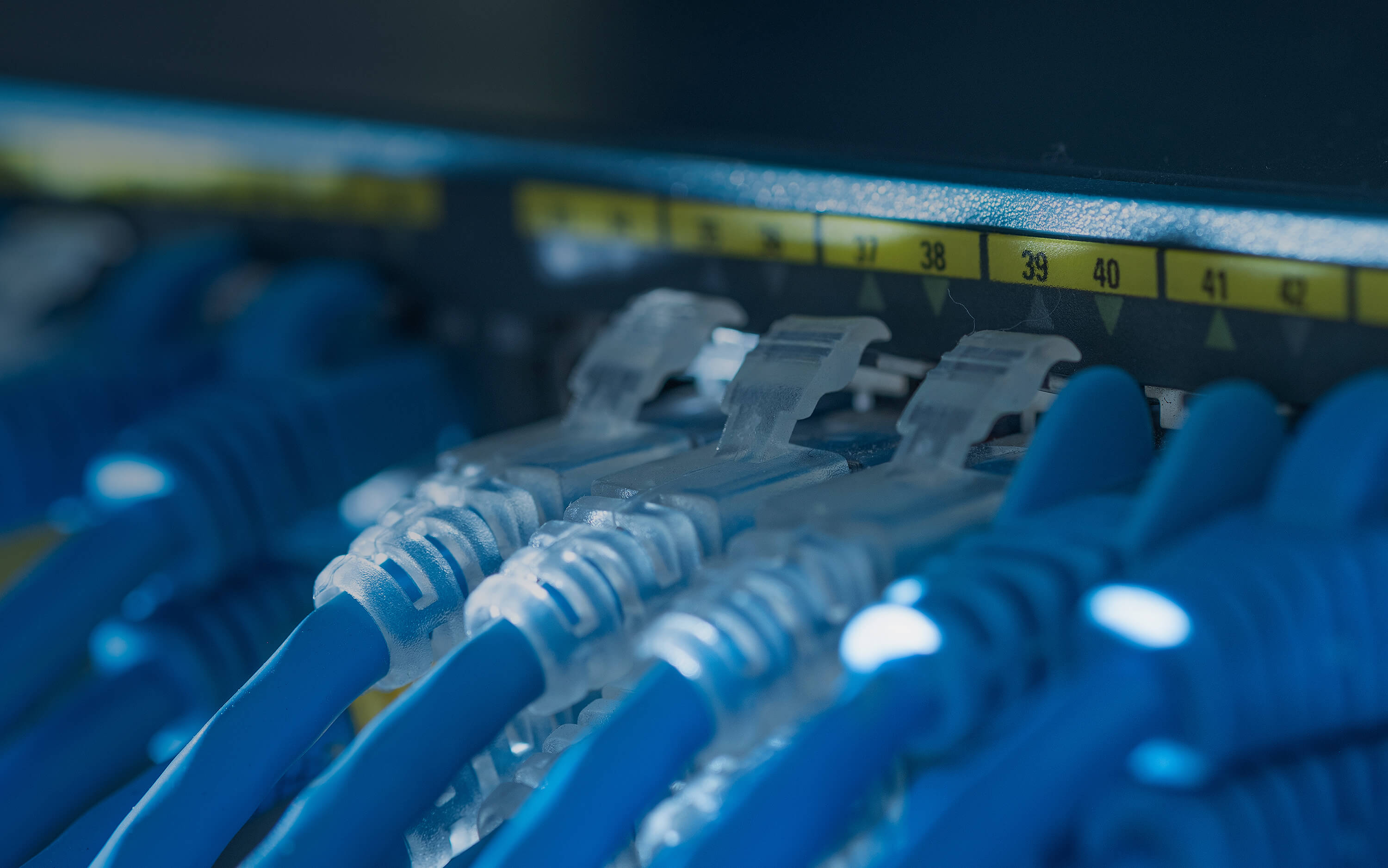 Patch Cables