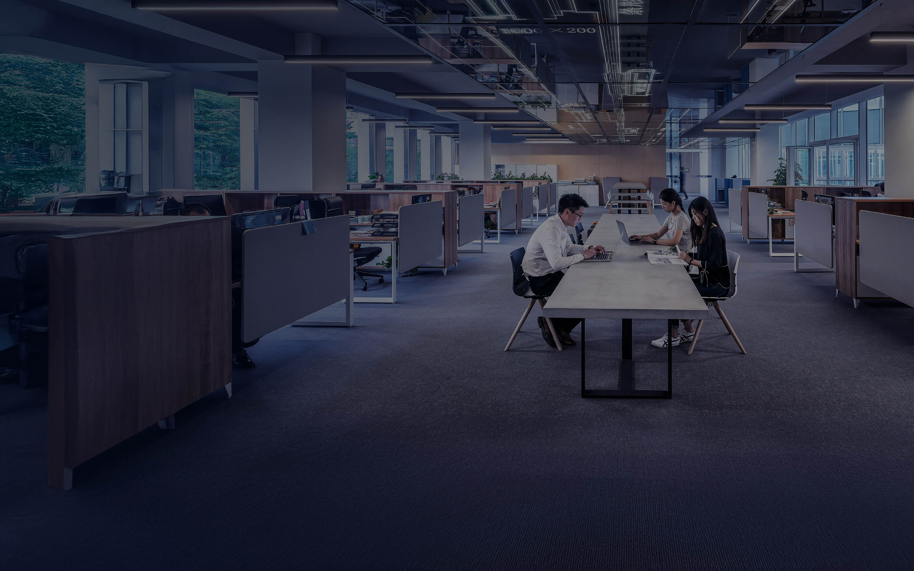 Office Cubicles