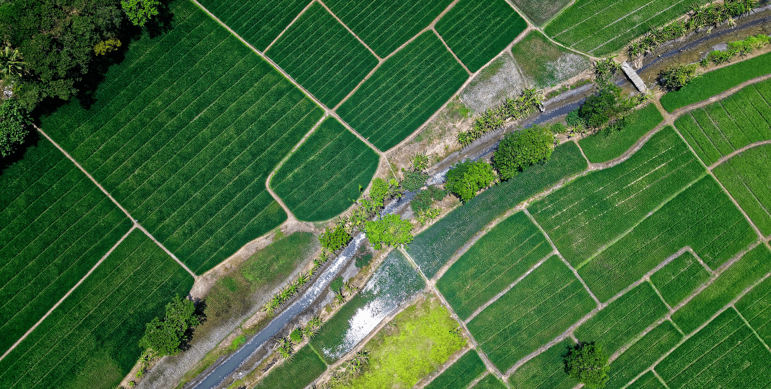 aerial view of crop fields and river